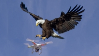 Drony, EET a praporkový zákon