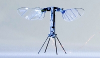 RoboBee X-Wing: dron jako vážka